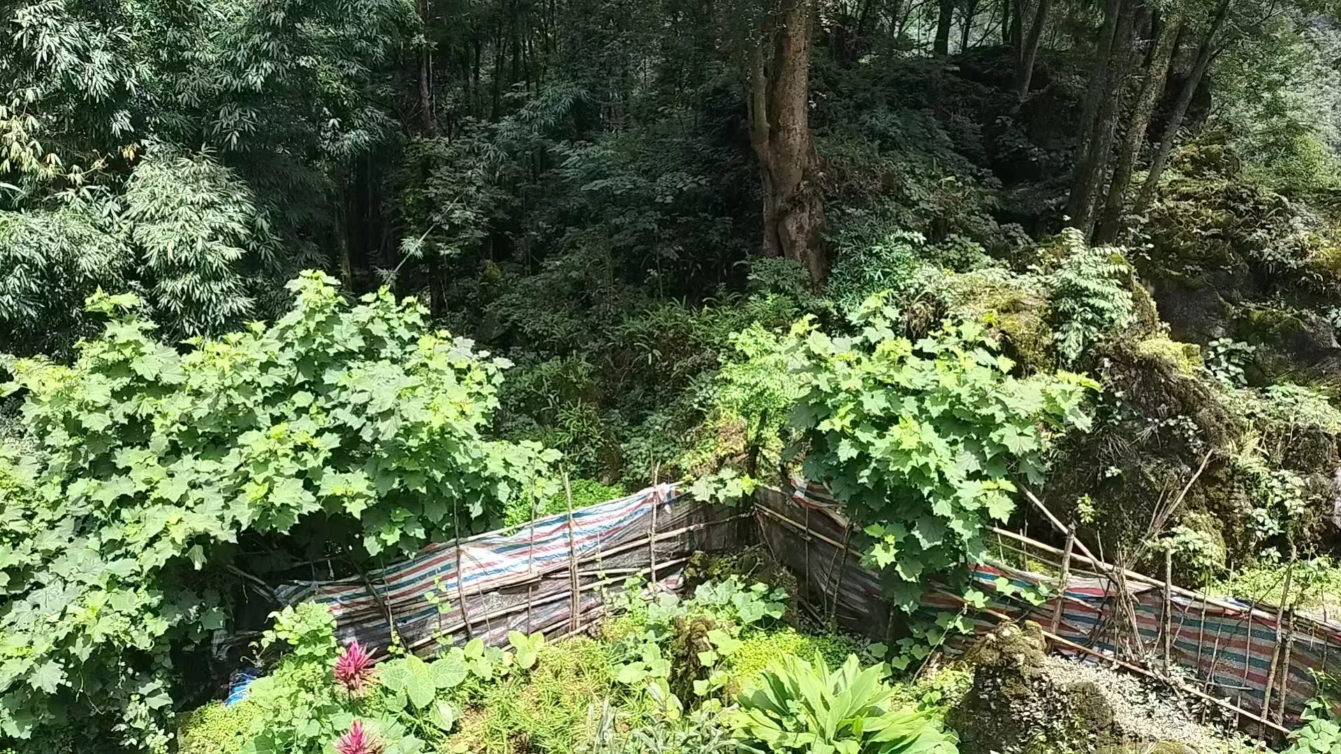 正华美2.jpg